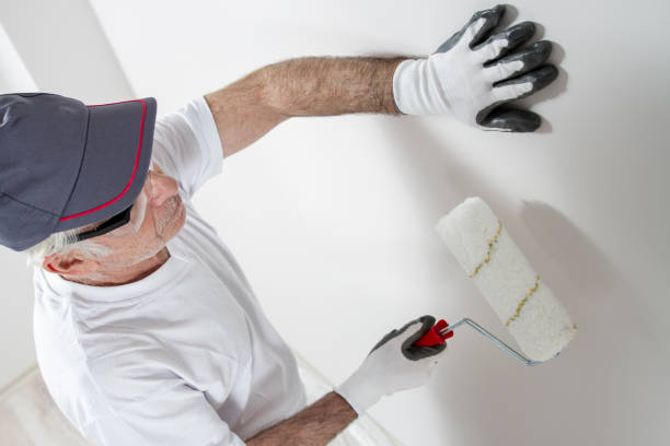 Best Touch-Up Painting Services  in USA