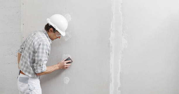 Best Residential Painting Experts  in USA